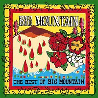 Big Mountain – The Best Of Big Mountain