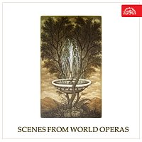 Různí interpreti – Scény ze světových oper
