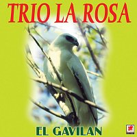 Trio La Rosa – El Gavilán