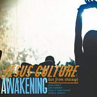 Přední strana obalu CD Awakening - Live From Chicago