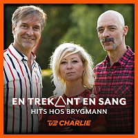 Various  Artists – En Trekant En Sang 5 - Hits Hos Brygmann