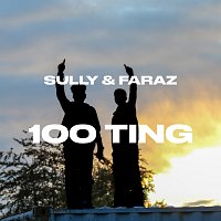 Sully & Faraz – 100 ting