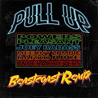 Přední strana obalu CD Pull Up [Beastcoast Remix]