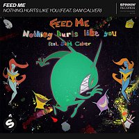 Feed Me – Nothing Hurts Like You (feat. Sam Calver)