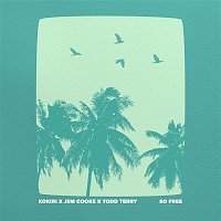 Kokiri, Jem Cooke, & Todd Terry – So Free