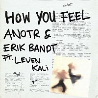 ANOTR, Erik Bandt, Leven Kali – How You Feel