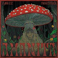 Ka2 – Amanita