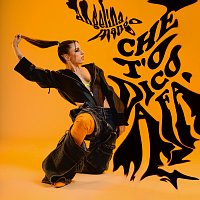 Přední strana obalu CD Che t’o dico a fa’