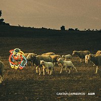 Agir – Cantar Carneiros