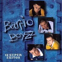 Barrio Boyzz – 12 Super Exitos