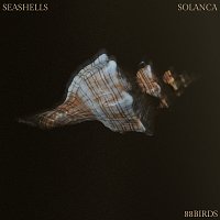 Přední strana obalu CD Seashells