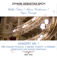 Rodolfo Felicani / Helmut Winschermann / August Wenzinger play: Johann Sebastian Bach: Konzert Nr. 1 -  fur Violino piccolo, 3 Oboen, Fagott, 2 Horner, Streicher und Basso continuo, BWV 1046