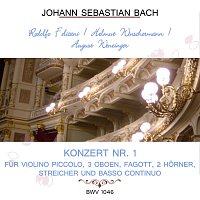 Rodolfo Felicani, Helmut Winschermann – Rodolfo Felicani / Helmut Winschermann / August Wenzinger play: Johann Sebastian Bach: Konzert Nr. 1 -  fur Violino piccolo, 3 Oboen, Fagott, 2 Horner, Streicher und Basso continuo, BWV 1046