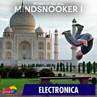 Přední strana obalu CD Mindsnooker I