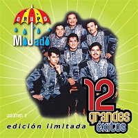 12 Grandes exitos Vol. 2