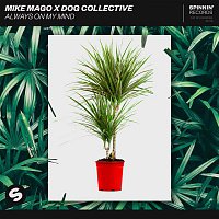 Mike Mago x Dog Collective – Always On My Mind