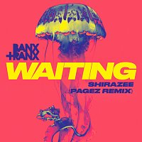 Waiting [PAGEZ Remix]