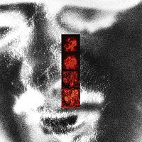 Advm – .DANS L’DEHORS.