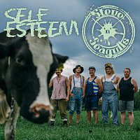 Steve ‘n’ Seagulls – Self Esteem