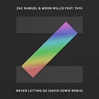 Never Letting Go [David Zowie Remix]