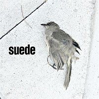 Suede – The Invisibles