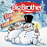 Přední strana obalu CD Das Winteralbum