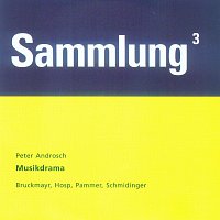 Dietmar Bruckmayr, Albert Hosp, Anna Maria Pammer, Leonhard Schmidinger – Musikdrama