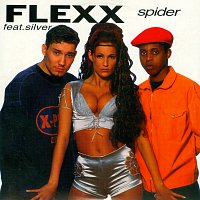 Flexx, Silver – Spider