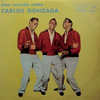 Přední strana obalu CD Meu Coracao Canta