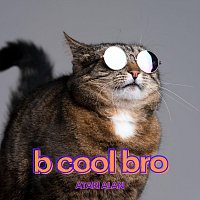 Atari Alan – B Cool Bro