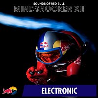 Sounds of Red Bull – Mindsnooker XII