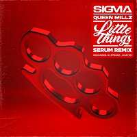 Sigma, Queen Millz – Little Things [Serum Remix]