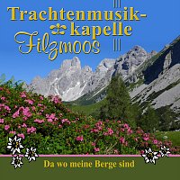 Trachtenmusikkapelle Filzmoos – Da wo meine Berge sind