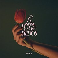 ANASOF – LA PUNTA DE MIS DEDOS