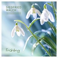 Siegfried Walch – Frühling