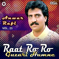 Anwar Rafi – Raat Ro Ro Guzari Humne, Vol. 23