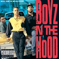 Různí interpreti – Boyz N The Hood