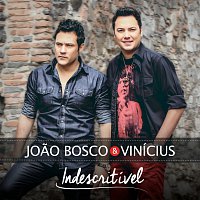 Joao Bosco & Vinícius – Indescritível