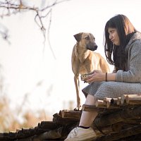 Hanita Bhambri – A Dog Chasing Its Own Tail