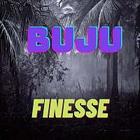 Přední strana obalu CD Finesse
