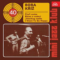 Bora Kříž – Mini Jazz Klub 40 FLAC