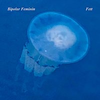 Přední strana obalu CD Fett