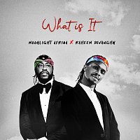 MOONLIGHT AFRIQA, Raheem DeVaughn – What Is It