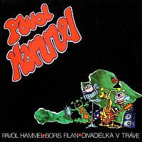 Pavol Hammel & Prúdy – Divadielka v tráve