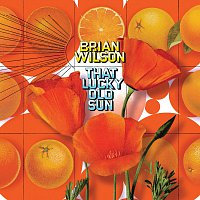 Brian Wilson – That Lucky Old Sun