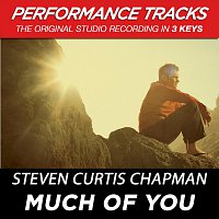 Steven Curtis Chapman – Much Of You [Performance Tracks]
