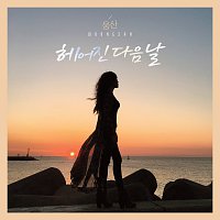Přední strana obalu CD Next Day Break Up [Audio]