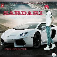Přední strana obalu CD Sardari