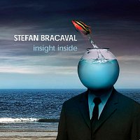 Stefan Bracaval – Insight Inside