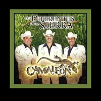 Los Diferentes De La Sierra – Camaleón